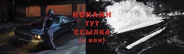 крисы Карпинск