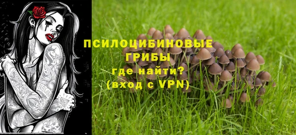 крисы Карпинск