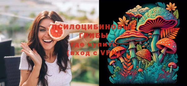 крисы Карпинск