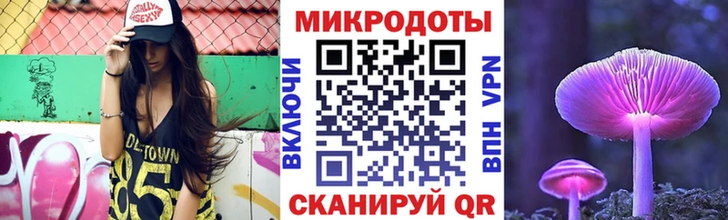 Купить закладки  Гагарин  Псилоцибиновые грибы Psilocybine cubensis 